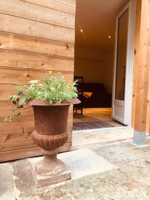 Bienvenue « A L'Ombre Du Figuier » Apartment Pieusse Exterior photo